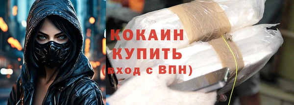 прущий лед Алзамай