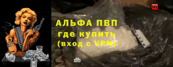 прущий лед Алзамай