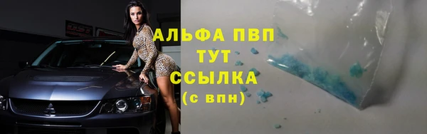 прущие грибы Карпинск
