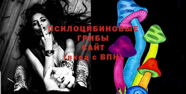 прущий лед Алзамай