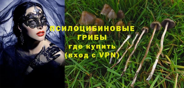 прущие крисы Горнозаводск